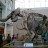 Mastadon skeletons at Florida Museum of Natural History