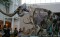 Mastadon skeletons at Florida Museum of Natural History