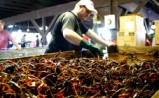 crawfish