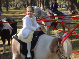 pony rides jekyll island
