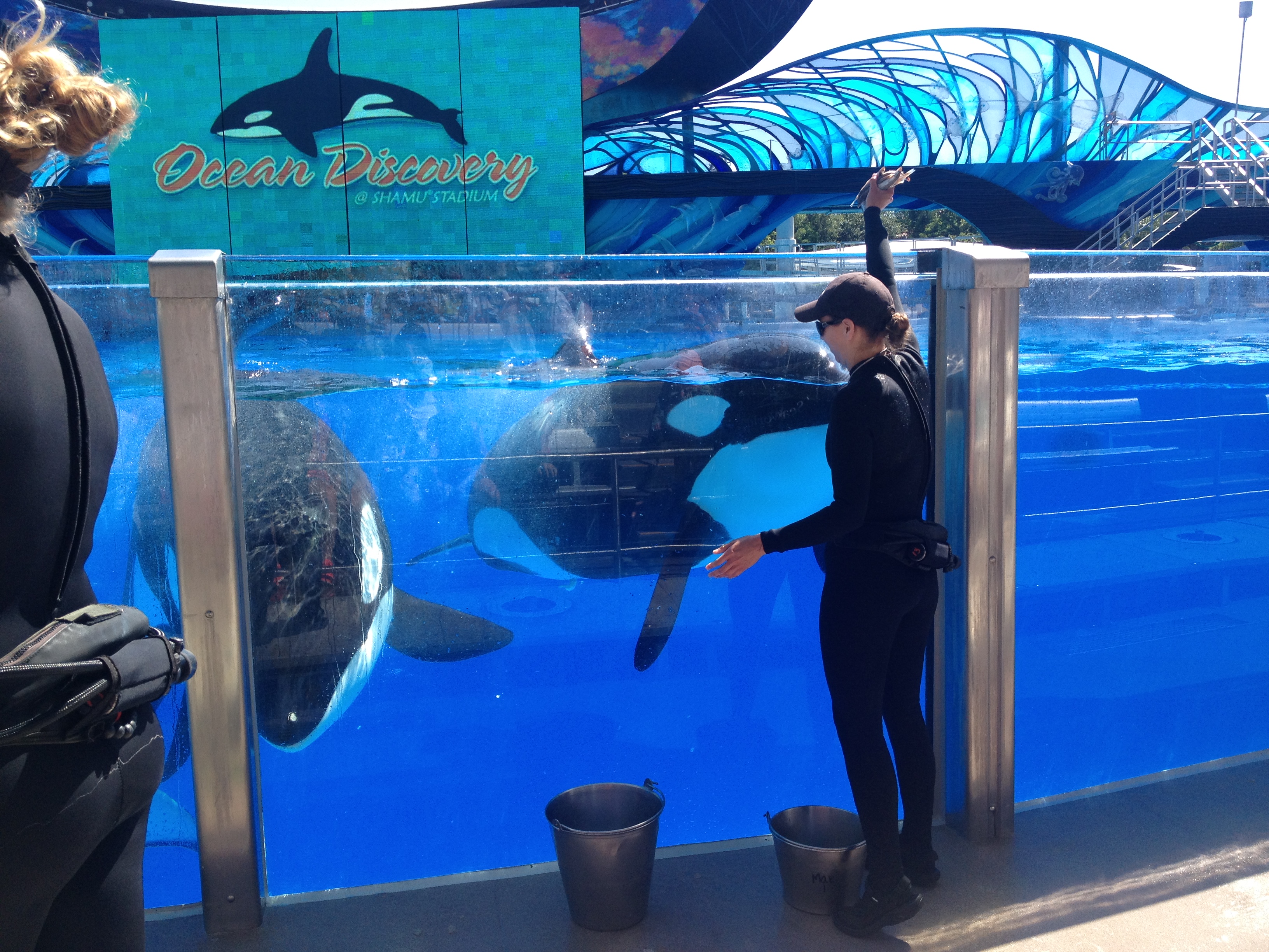 Sea World field trip offered education and fun for second graders