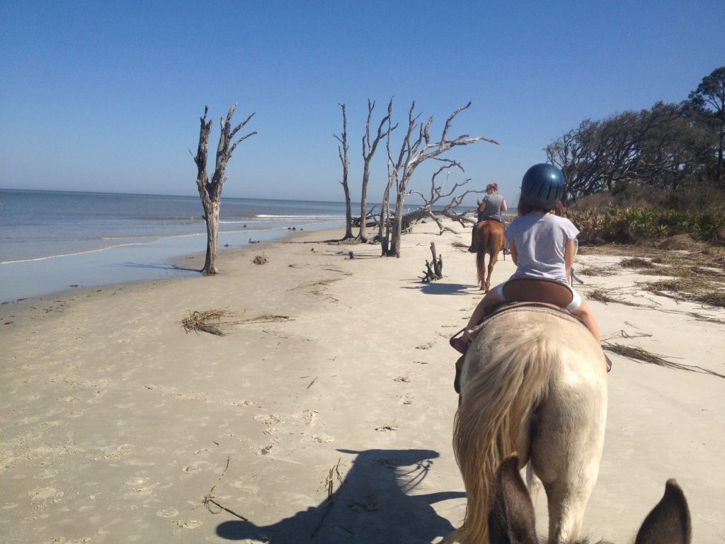 Horseback riding on beach at Jekyll Island, offers unique